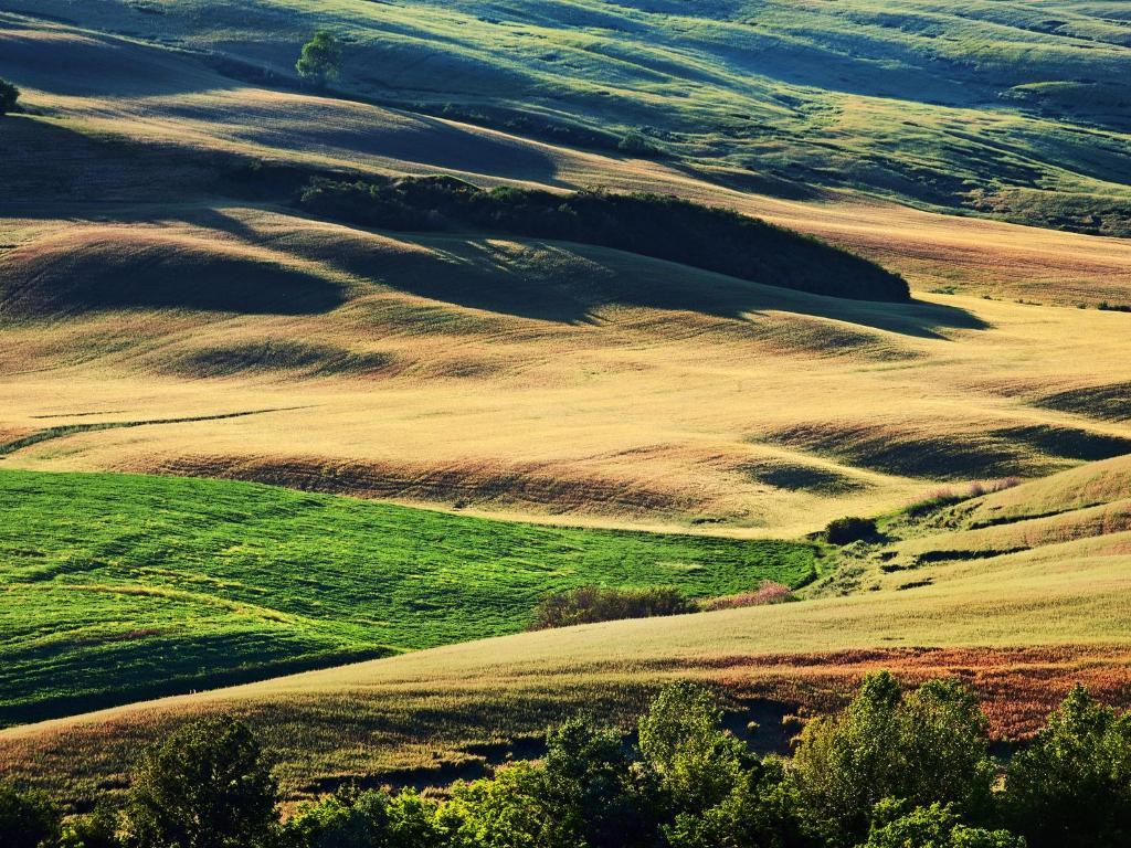 Agriturismo La Buca Di Bellugi ซันกีรีโกดอร์เชีย ภายนอก รูปภาพ